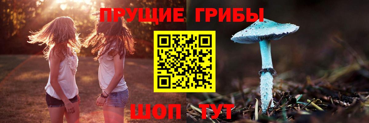 Галлюциногенные грибы MAGIC MUSHROOMS  Вход с VPN  Бердск  Псилоцибиновые грибы Psilocybine cubensis 